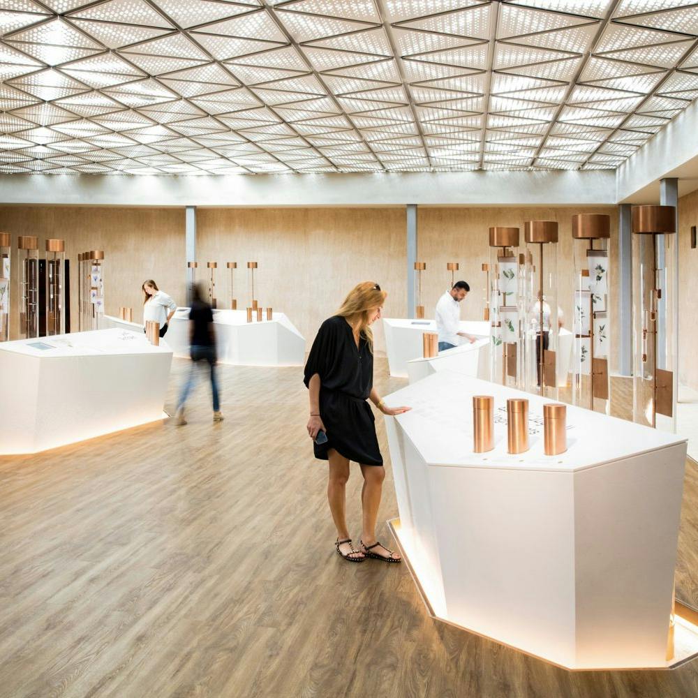 Etihad and Al Shindagha Museum Tour  Discount