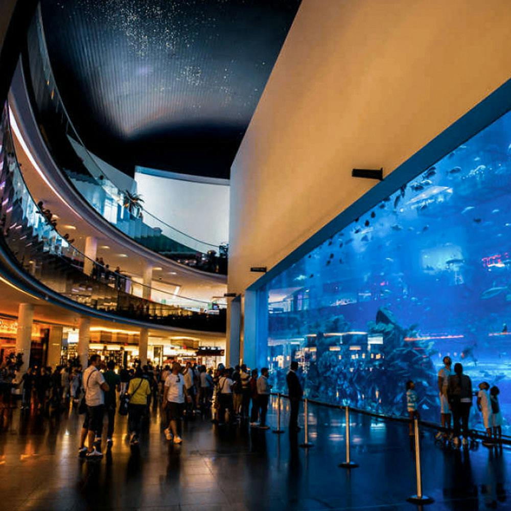 Dubai Mall Aquarium & VR Park Experience  
