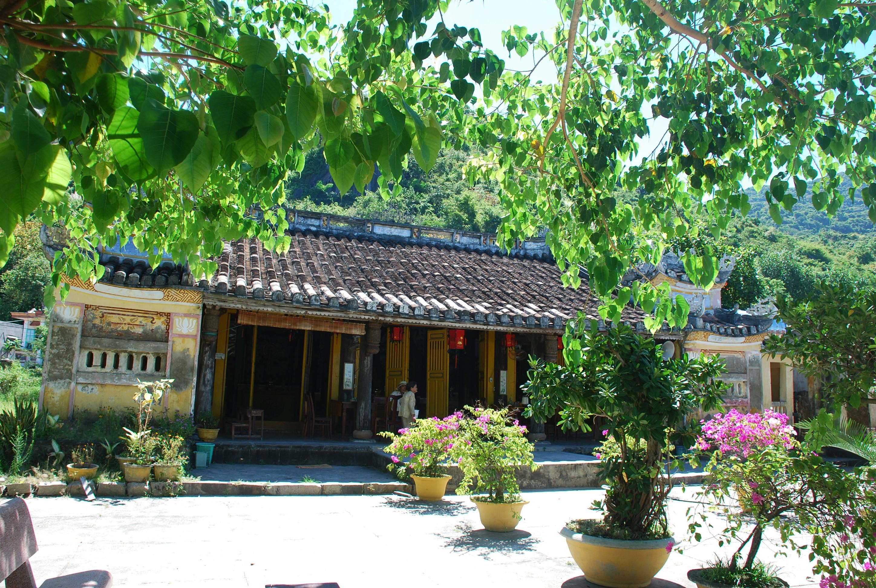 Cham Islands Day Tour from Da Nang 