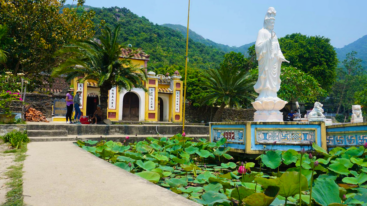 Cham Islands Day Tour from Da Nang