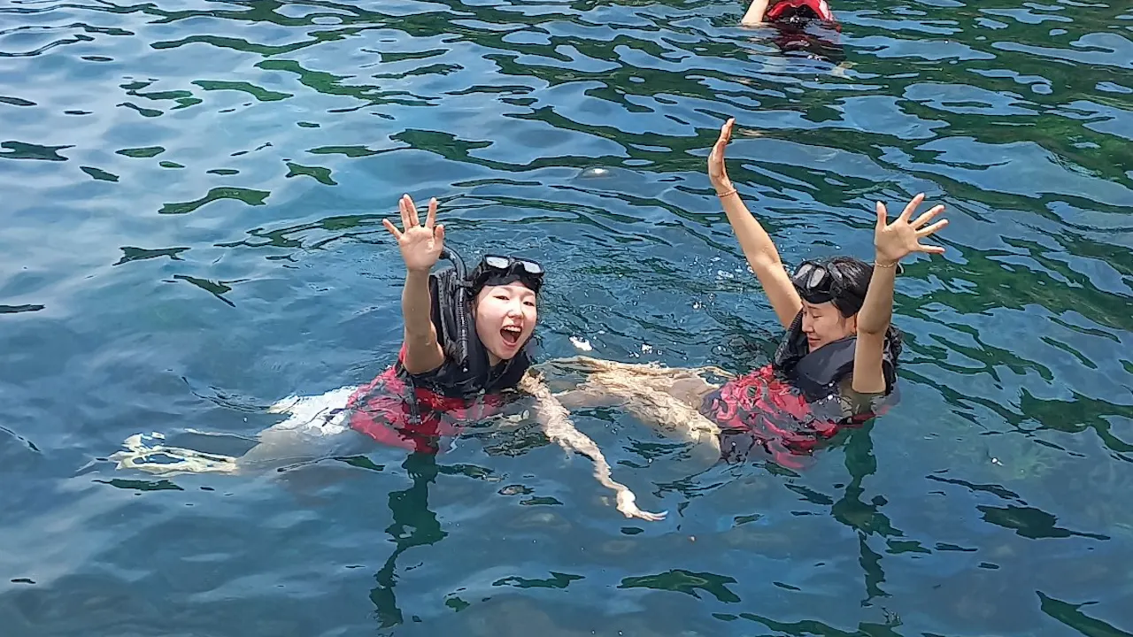 Cham Islands Day Tour from Da Nang