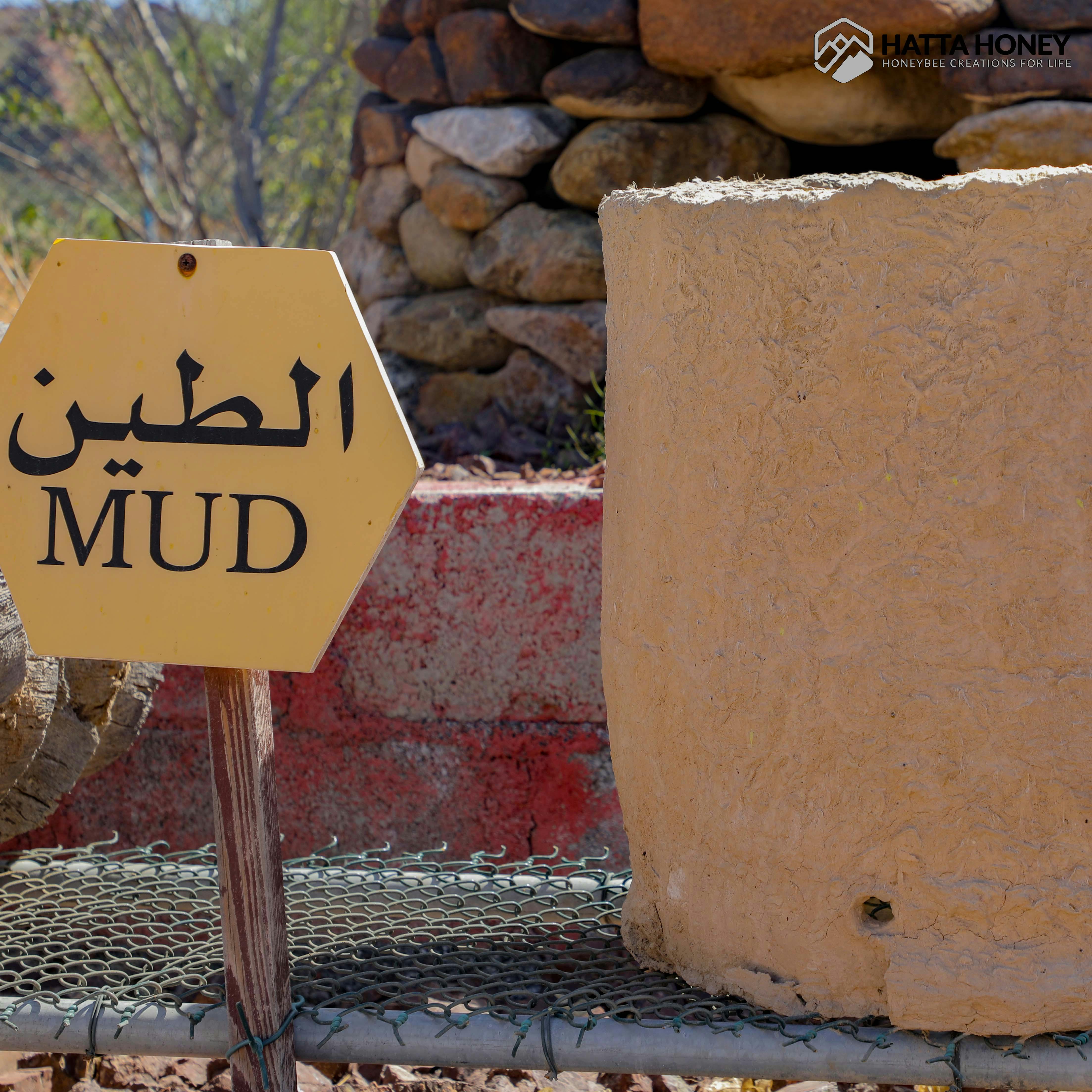 Hatta Honeybee Garden Discovery Tour 