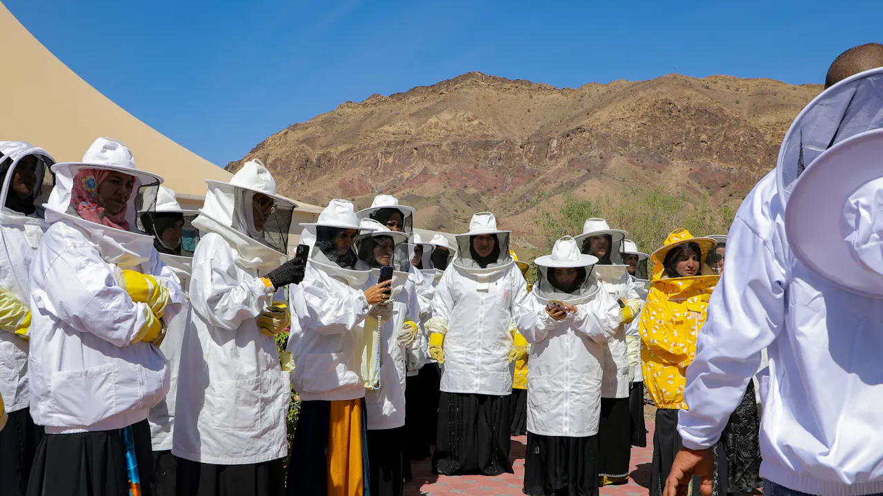 Hatta Honeybee Garden Discovery Tour