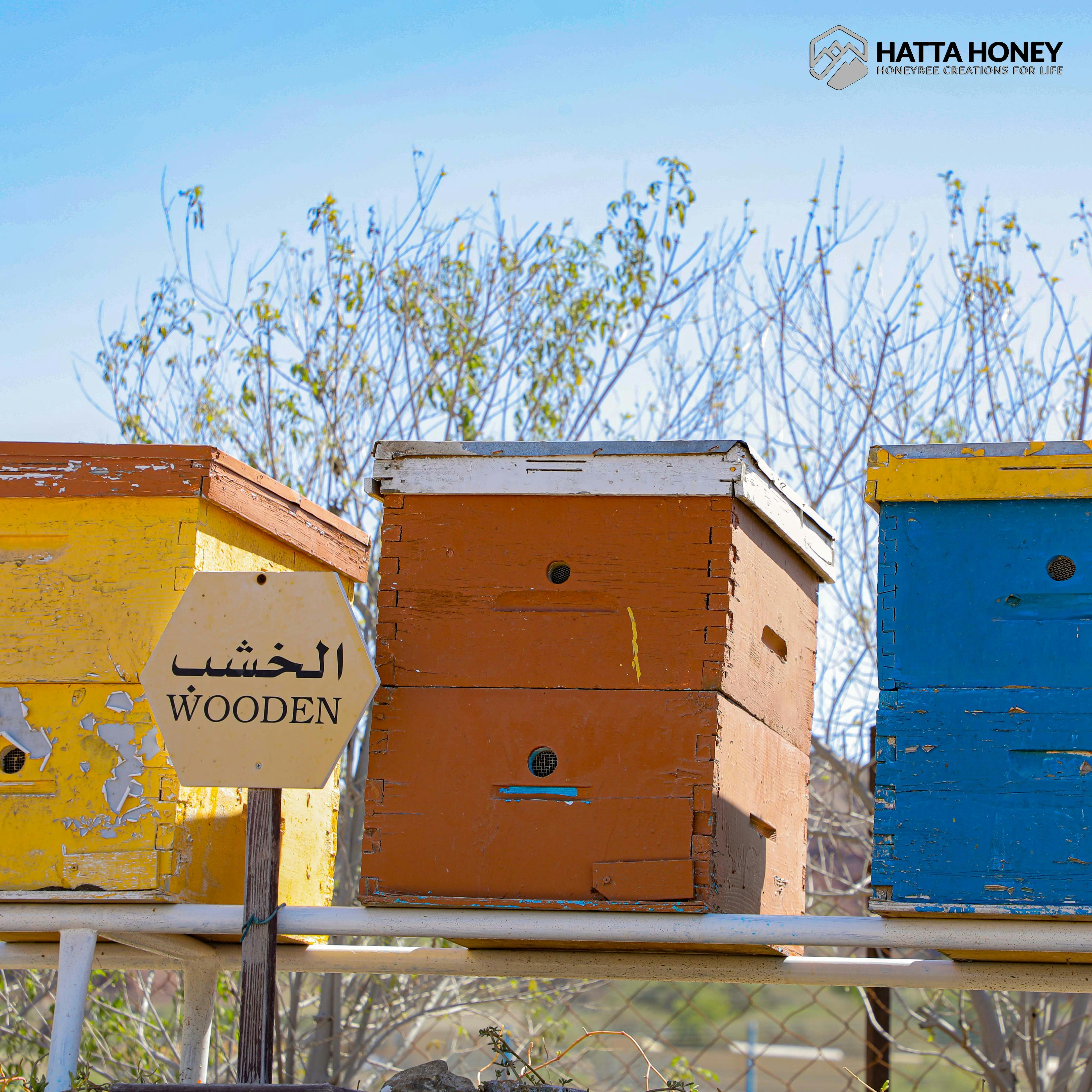 Hatta Honeybee Garden Discovery Tour Thrillark