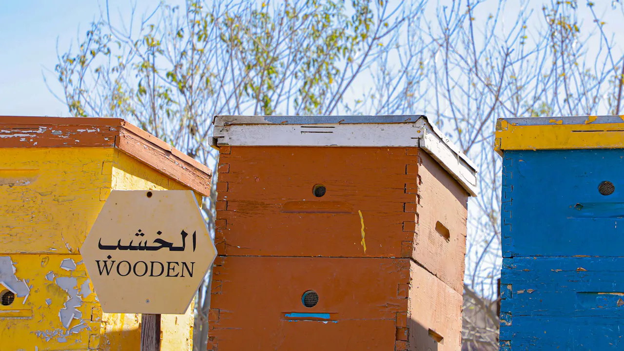 Hatta Honeybee Garden Discovery Tour Thrillark