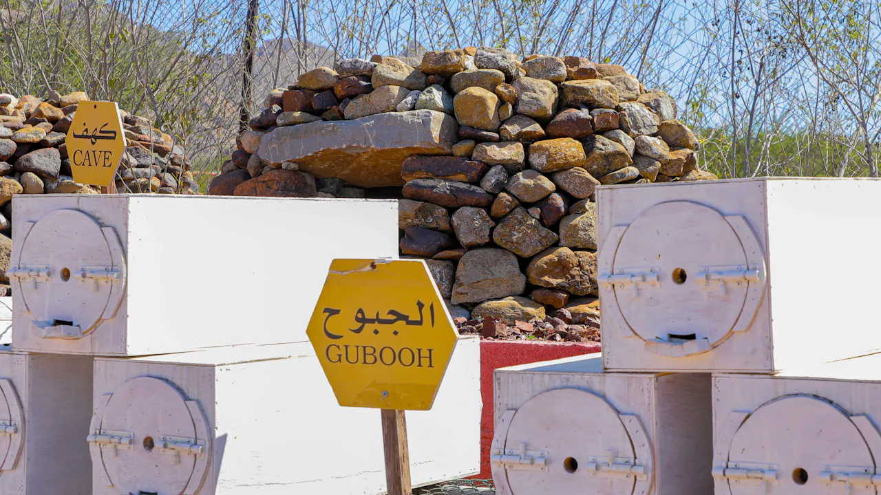 Hatta Honeybee Garden Discovery Tour Review