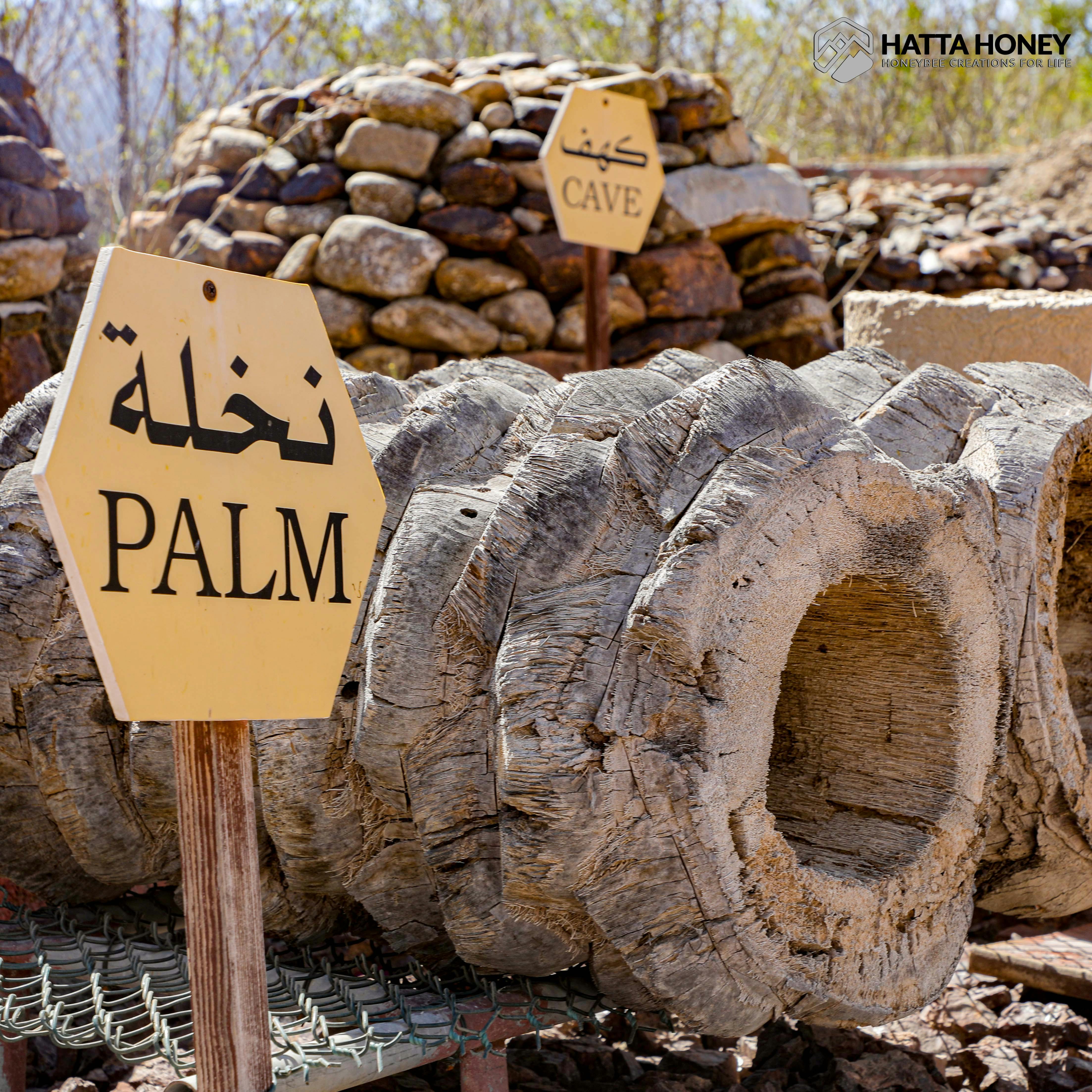 Hatta Honeybee Garden Discovery Tour Ticket