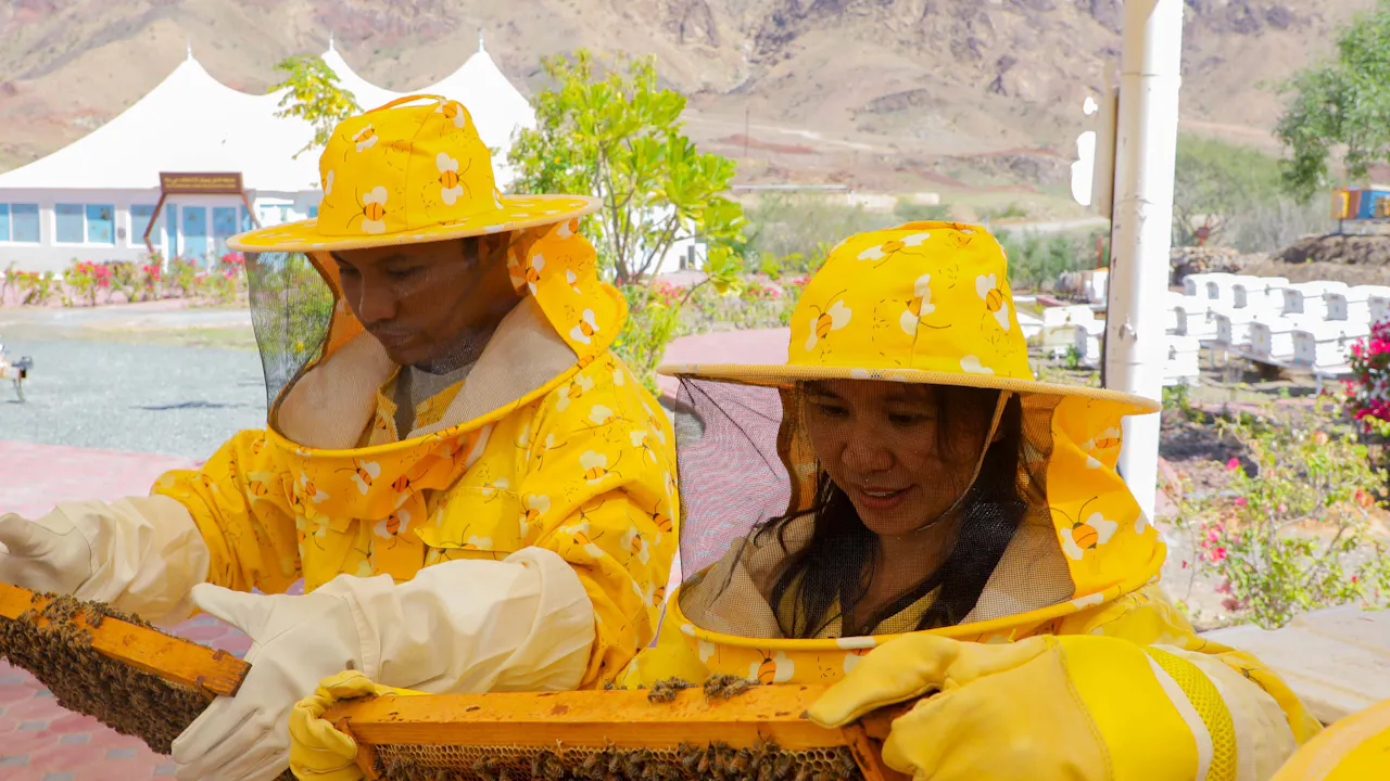 Hatta Honeybee Garden Discovery Tour Category