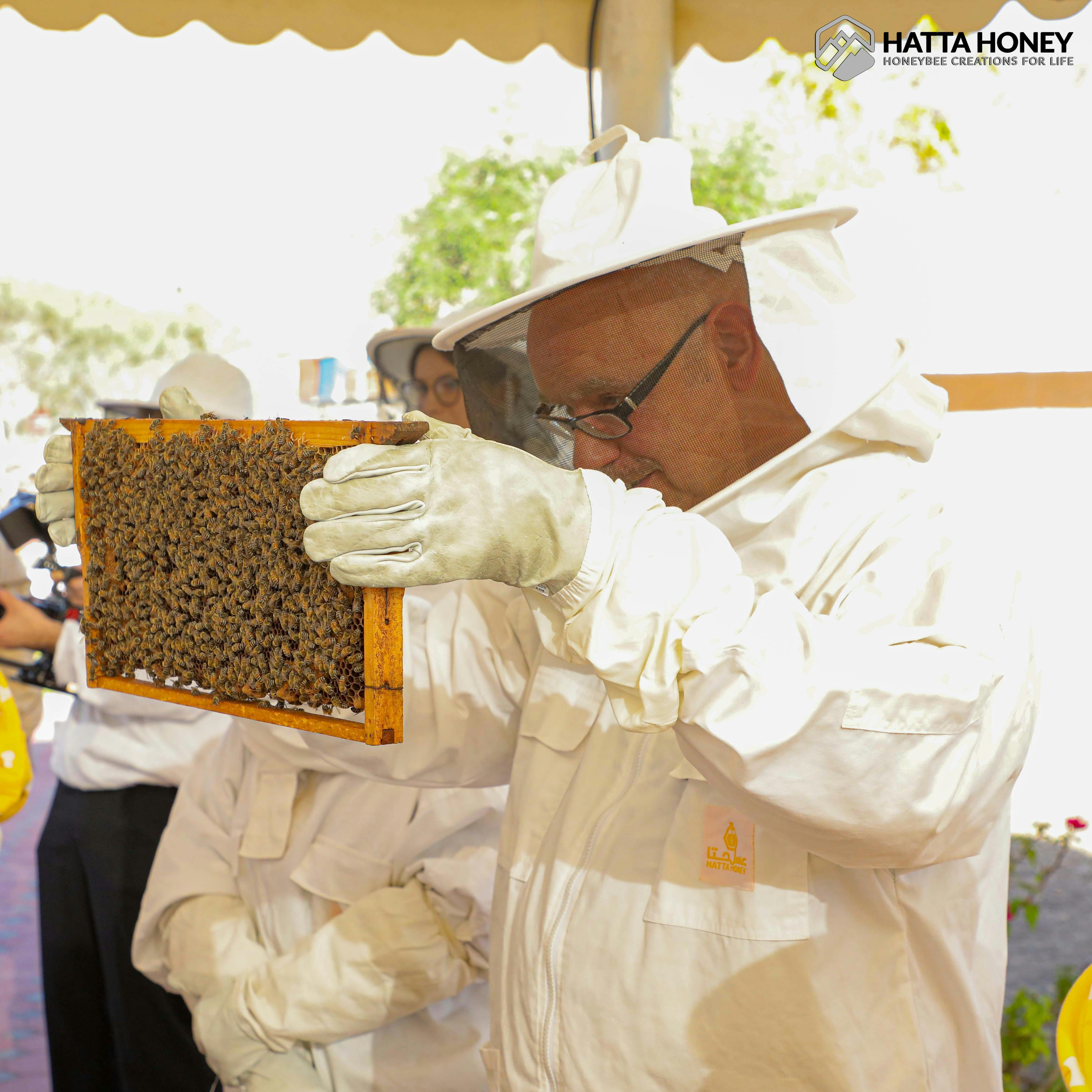 Hatta Honeybee Garden Discovery Tour 