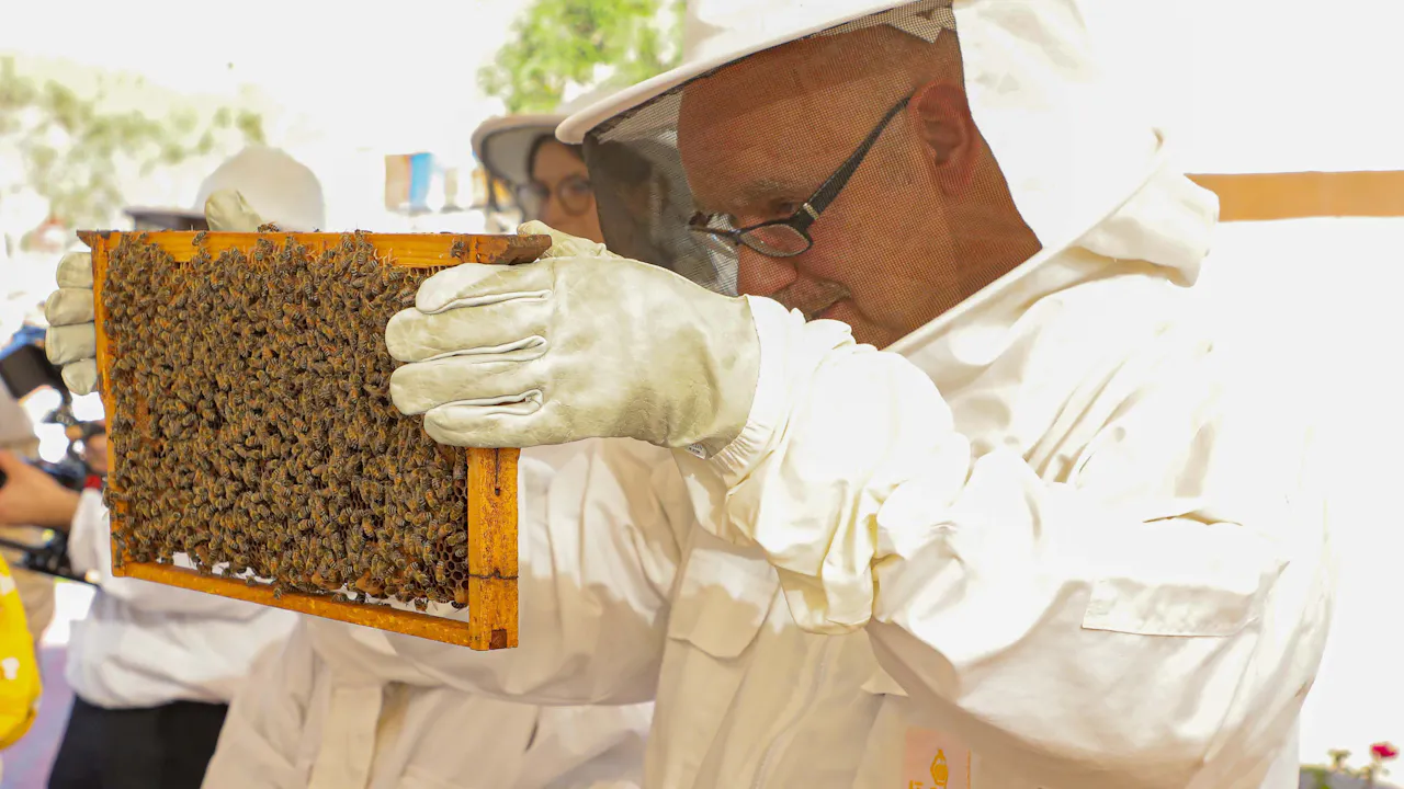 Hatta Honeybee Garden Discovery Tour