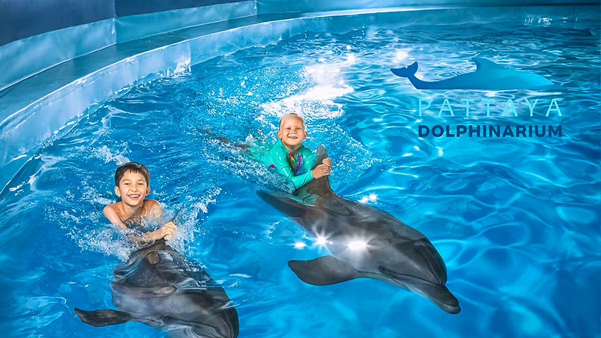 Entry Tickets To Pattaya Dolphinarium Review