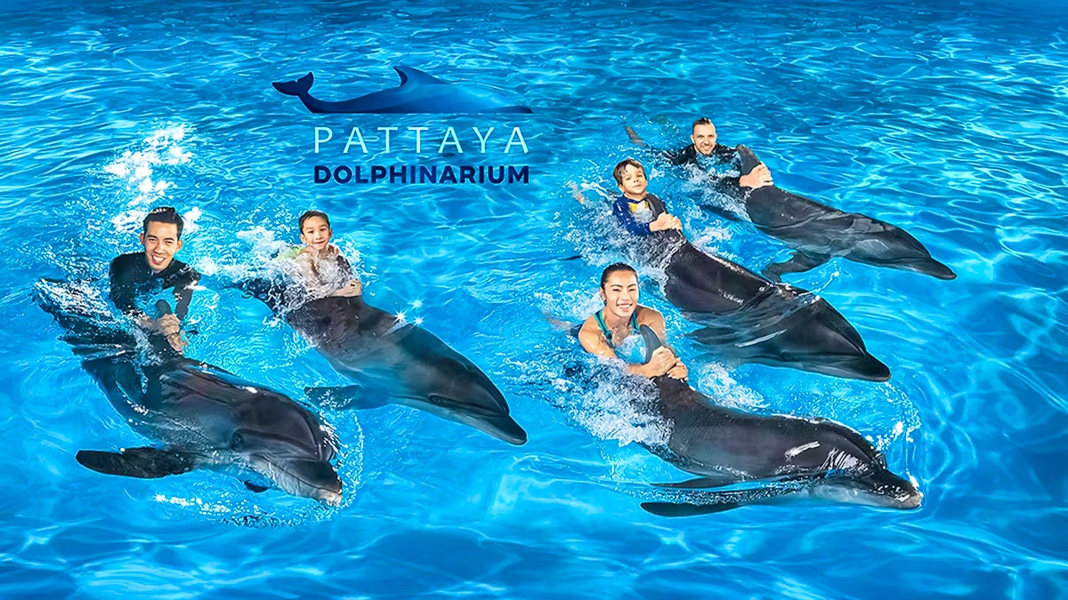Entry Tickets To Pattaya Dolphinarium Ticket