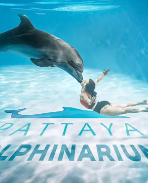 Pattaya Dolphinarium Tickets