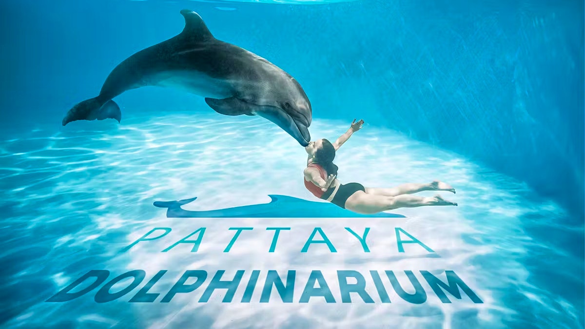 Entry Tickets To Pattaya Dolphinarium