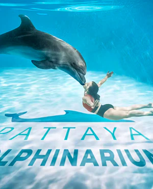 Pattaya Dolphinarium Tickets