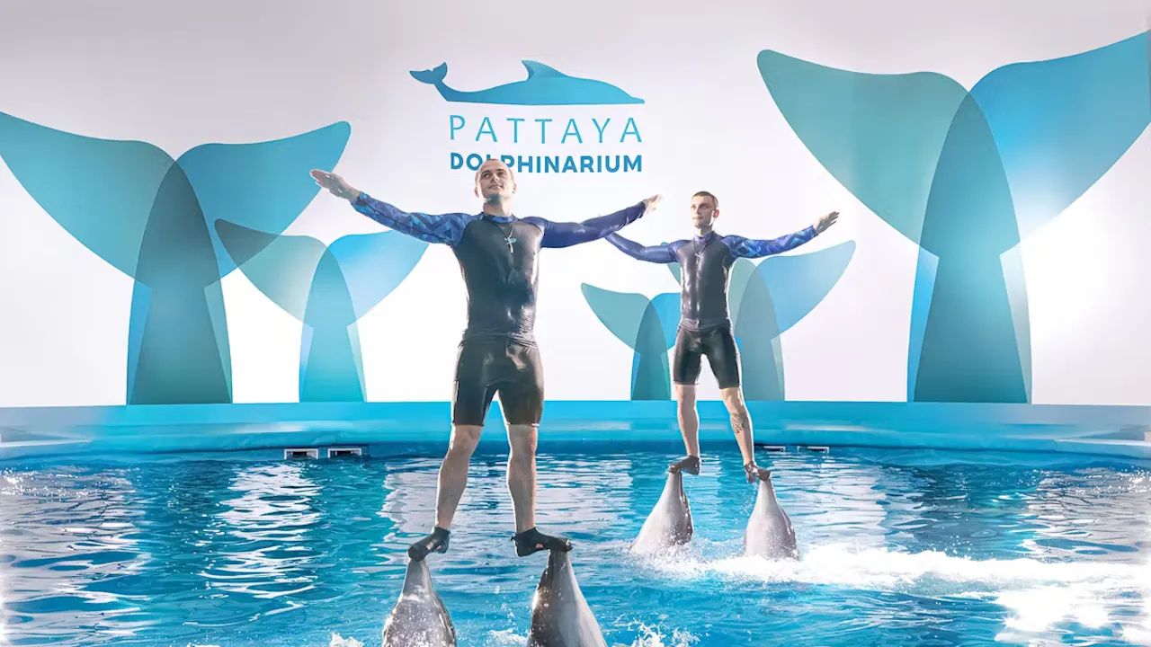 Entry Tickets To Pattaya Dolphinarium Location