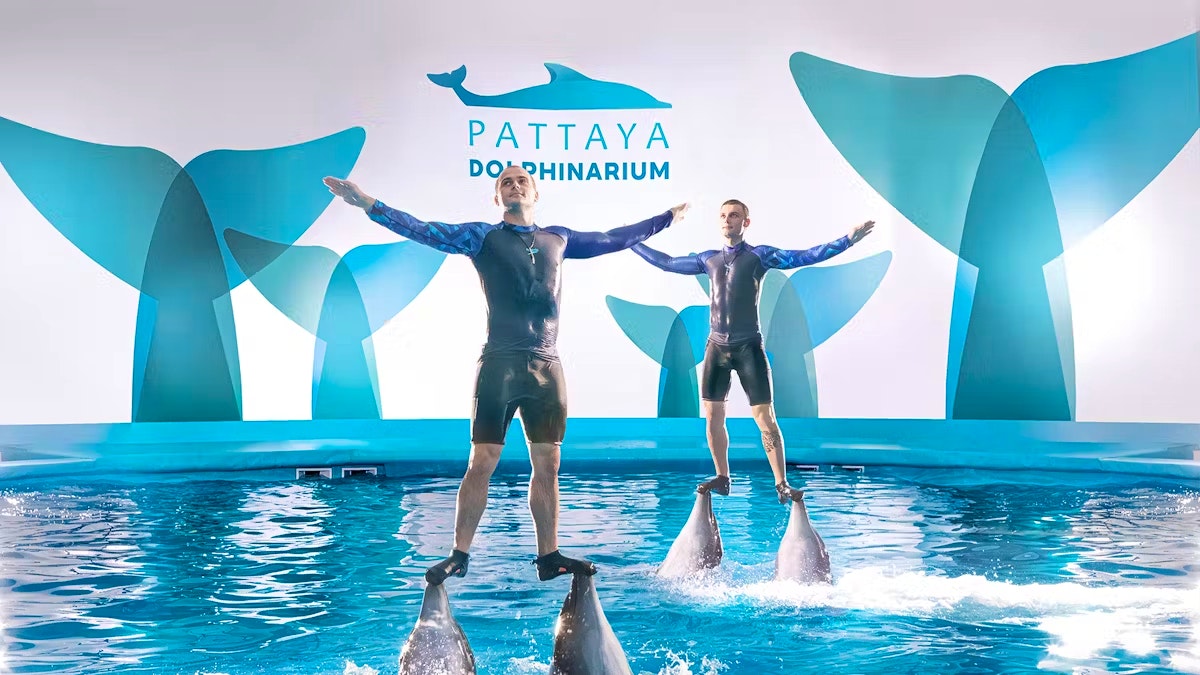 Entry Tickets To Pattaya Dolphinarium Location