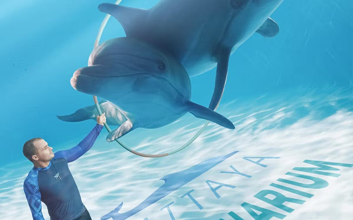 Entry Tickets To Pattaya Dolphinarium 