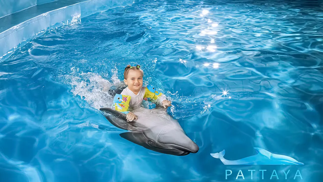 Entry Tickets To Pattaya Dolphinarium Price