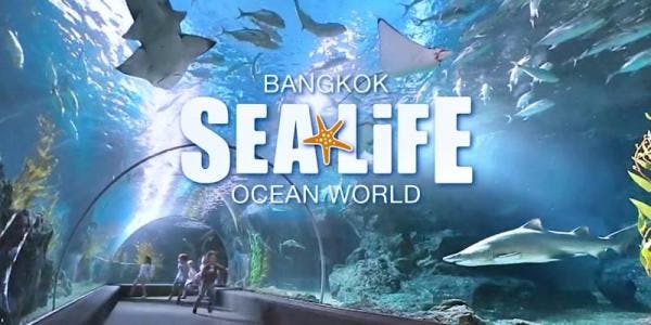 Sealife Bangkok + Madame Tussauds Bangkok Category