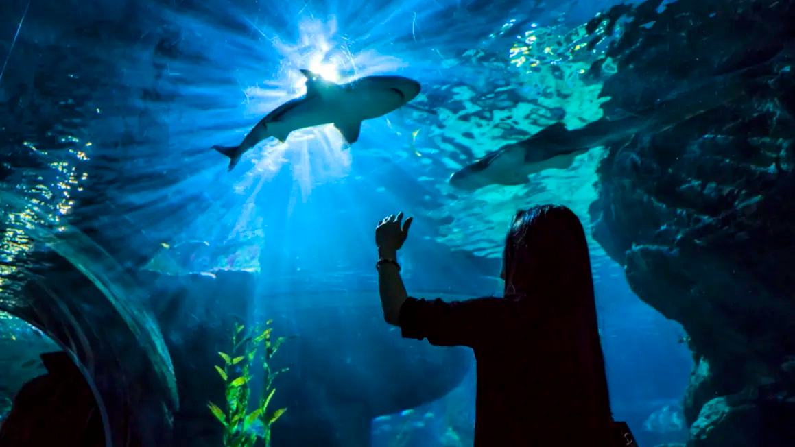 Sealife Bangkok + Madame Tussauds Bangkok Location