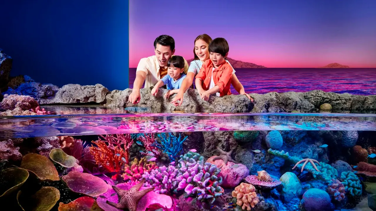 Sealife Bangkok + Madame Tussauds Bangkok Discount