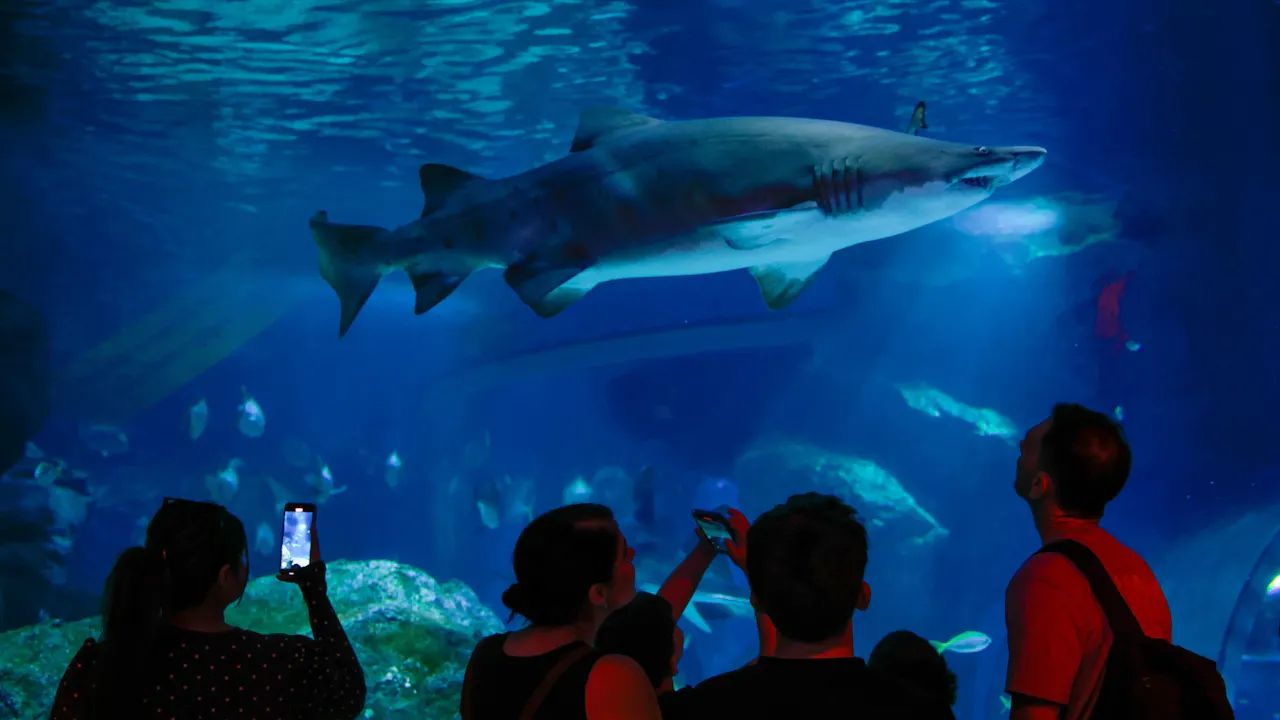 Sea Life Bangkok Tickets Review