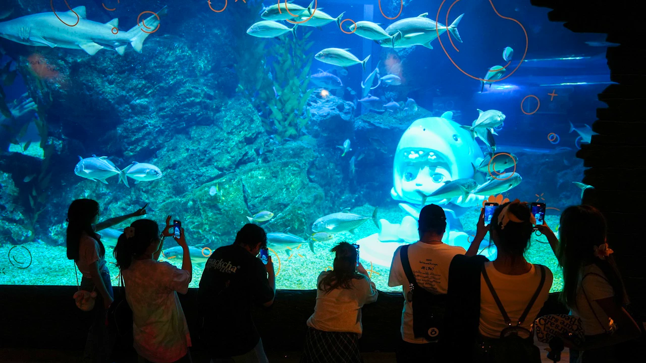 Sea Life Bangkok Tickets