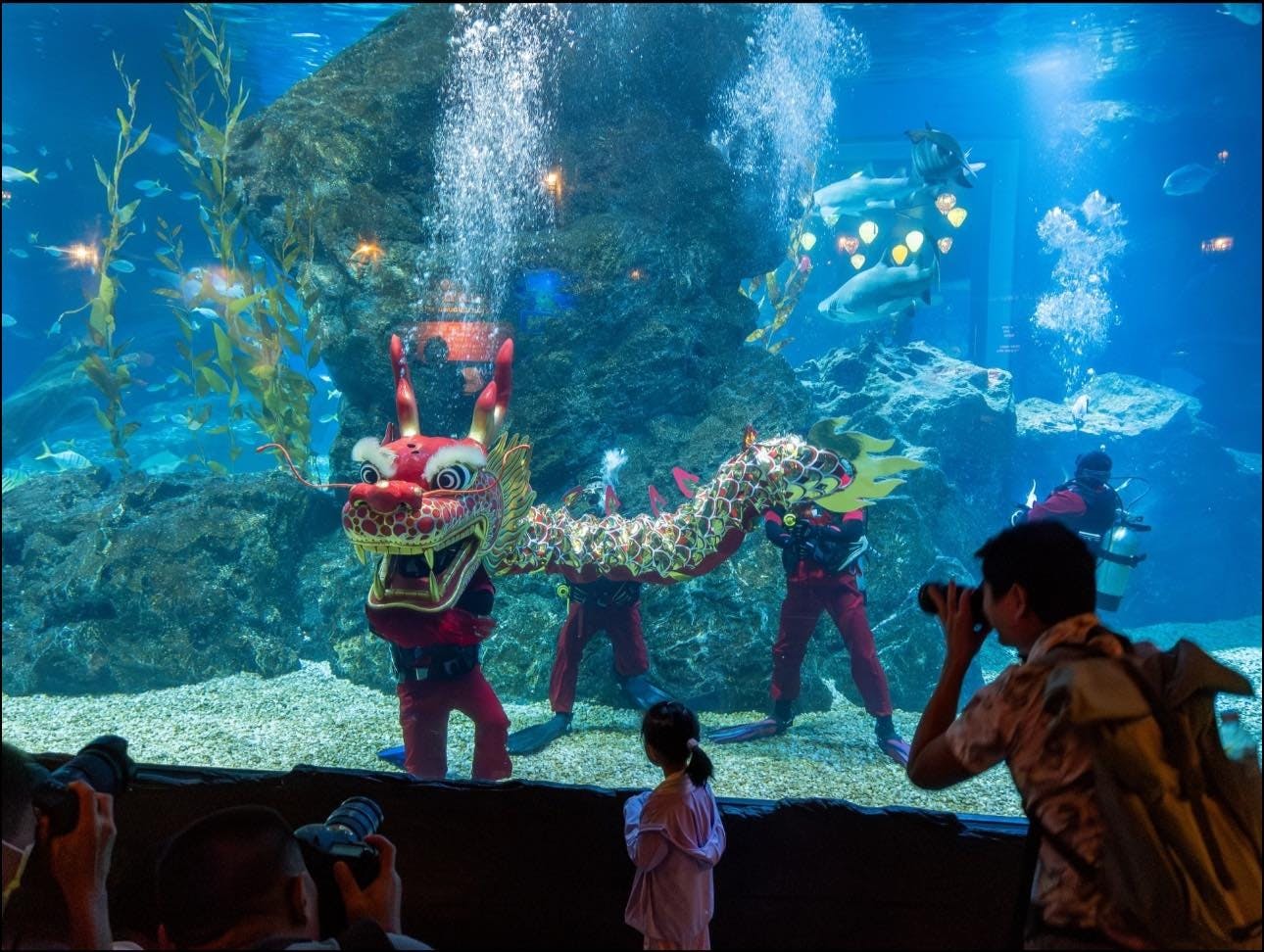 Sea Life Bangkok Tickets 