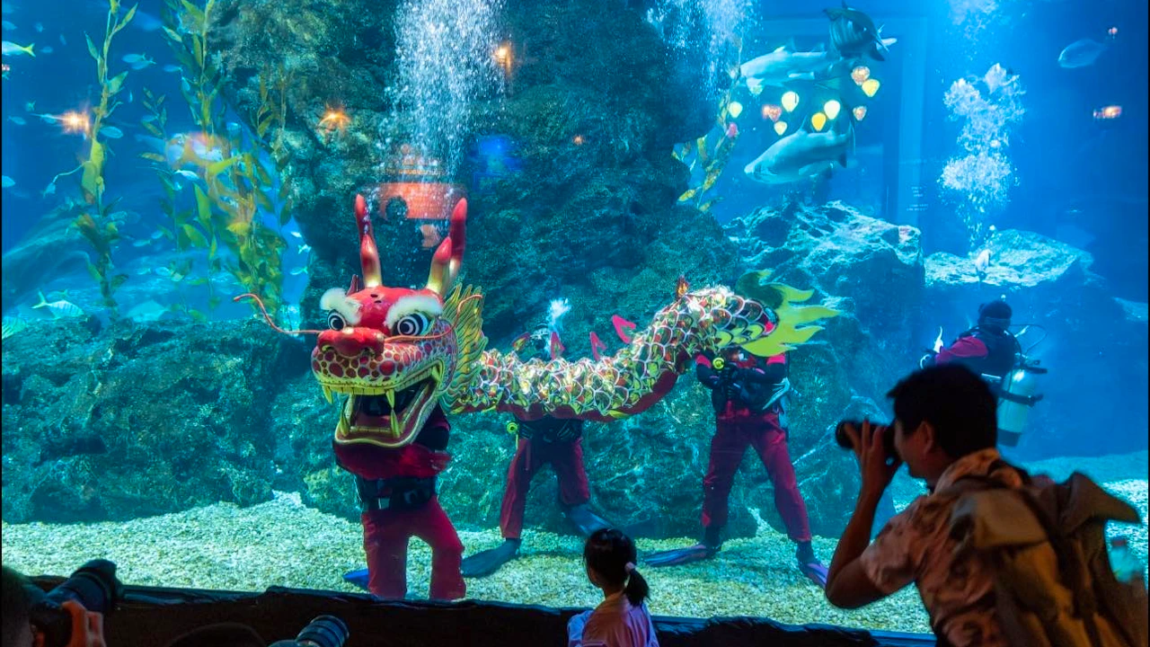 Sea Life Bangkok Tickets