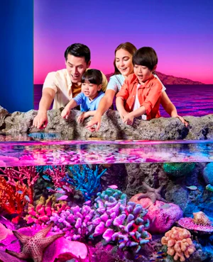 Sea Life Bangkok Tickets