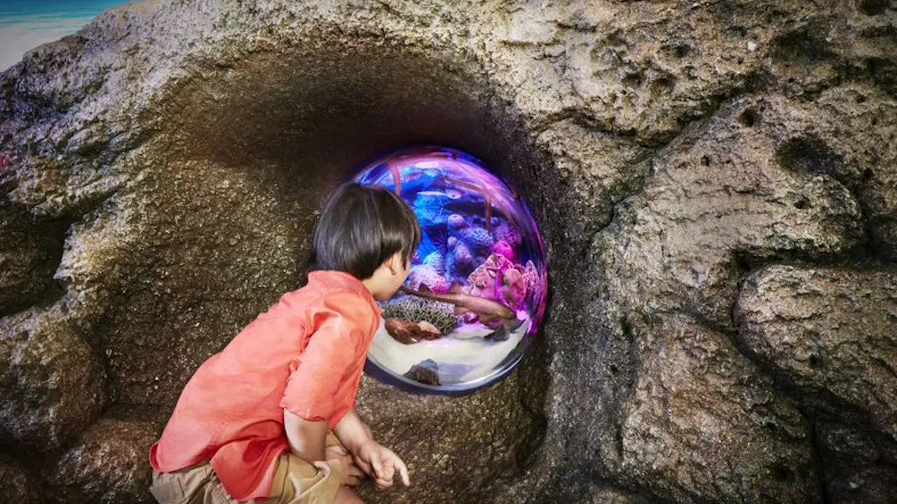 SeaLife Bangkok Admission Tickets Location