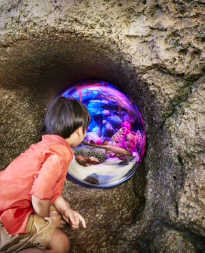 Sea Life Bangkok Tickets