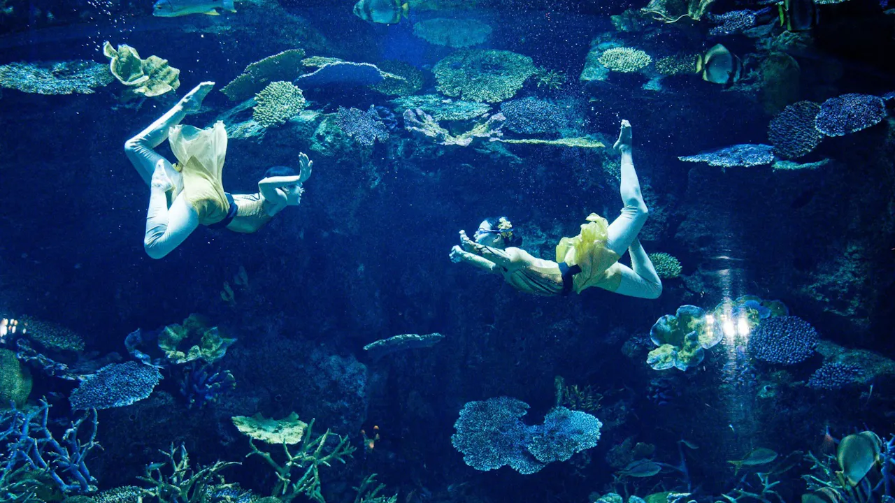 Sea Life Bangkok Tickets Thrillark