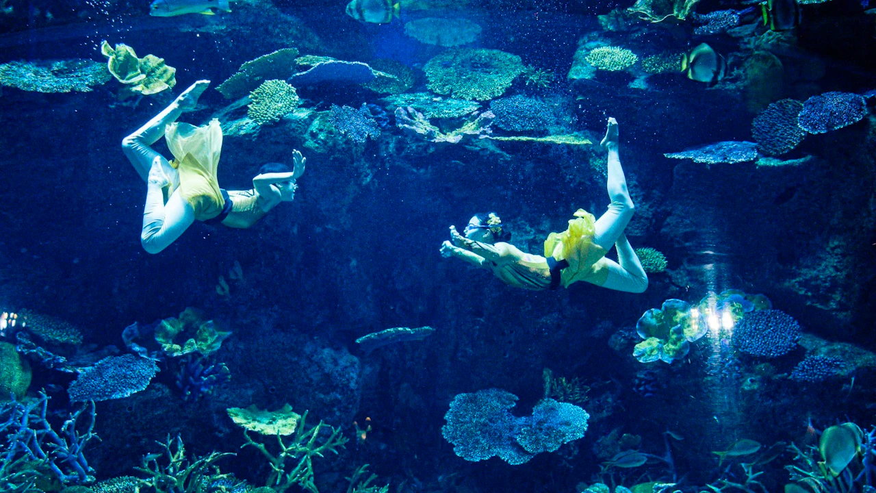 Sea Life Bangkok Tickets Thrillark