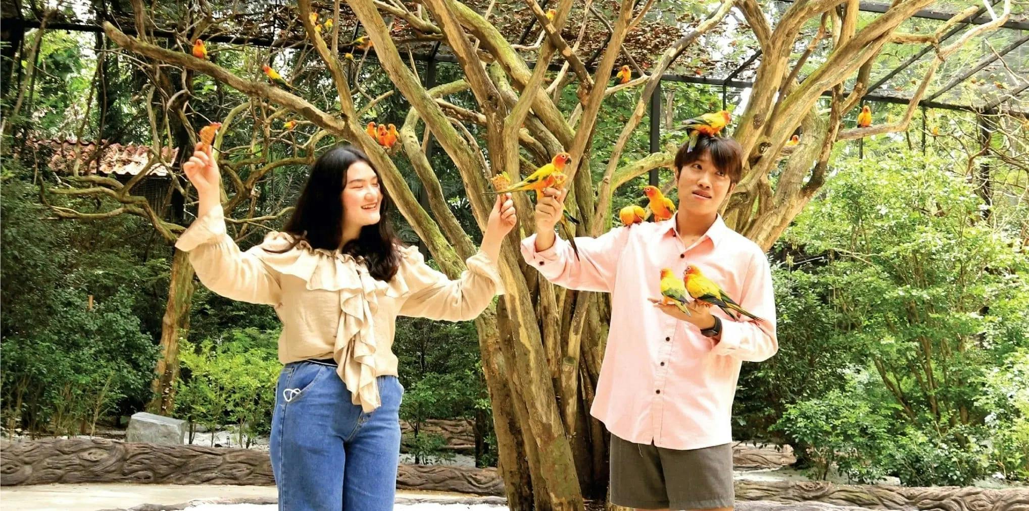 Tickets to Safari World & Marine Park with Buffet Lunch & Round-Trip Transfers Category