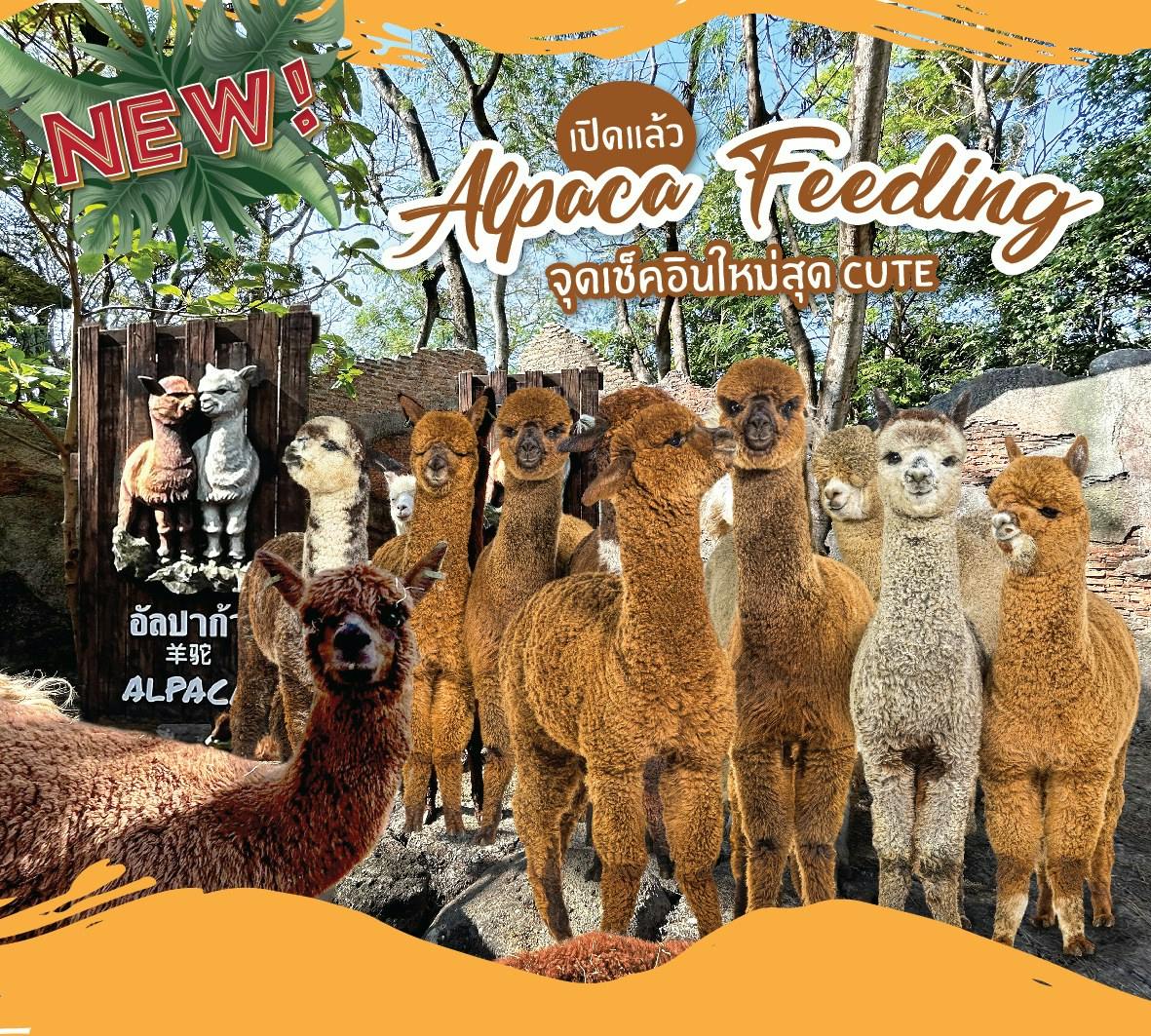 Safari World Bangkok with Private & Shared Transfers