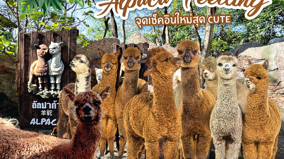 Safari World Bangkok with Private & Shared Transfers Location