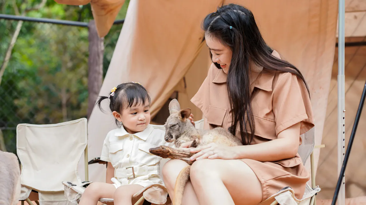 Tickets to Safari World & Marine Park with Buffet Lunch & Round-Trip Transfers Discount