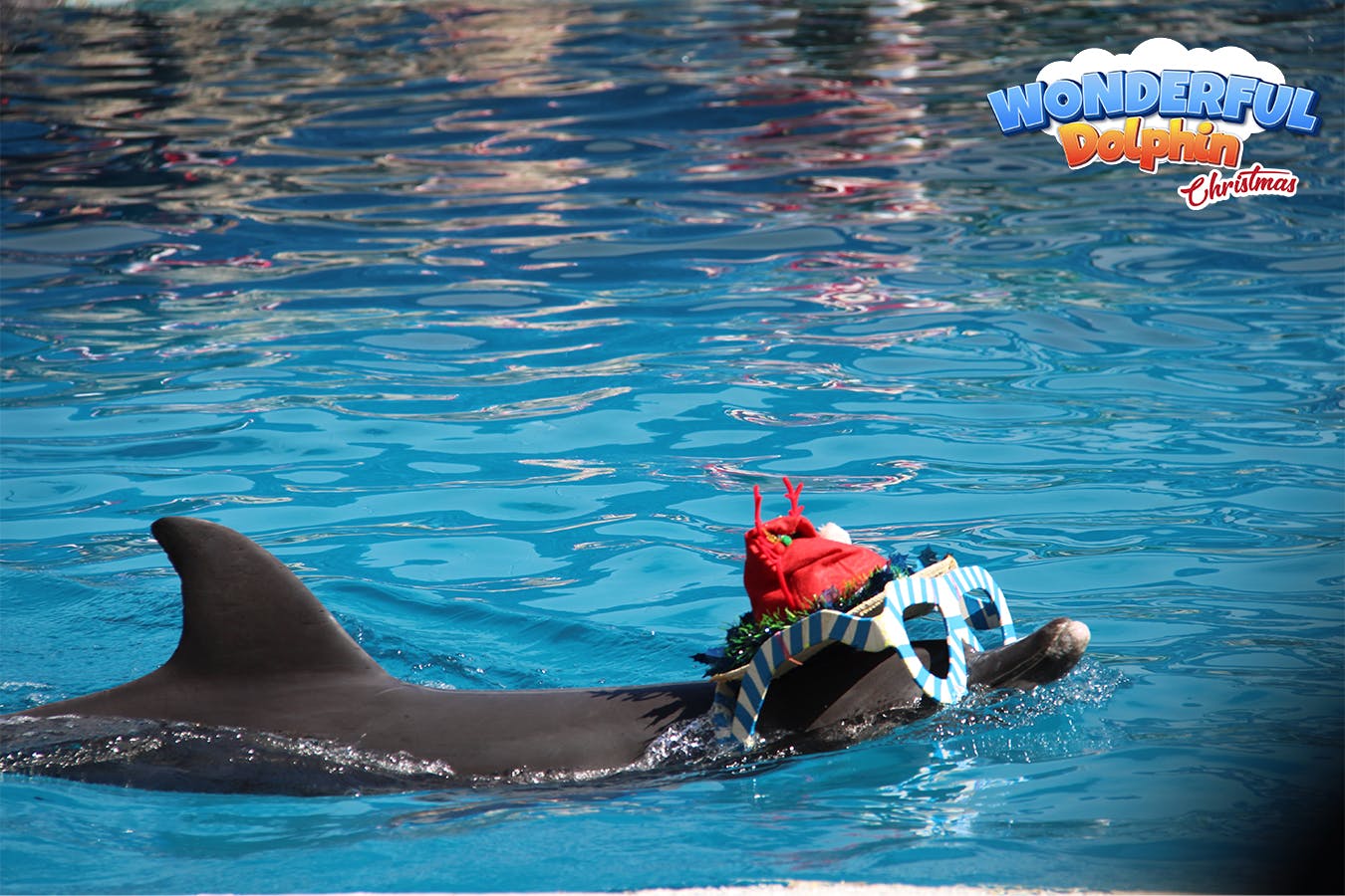 Safari World Bangkok with Private & Shared Transfers Review