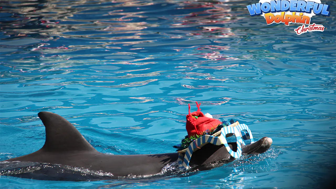 Safari World Bangkok with Private & Shared Transfers Review