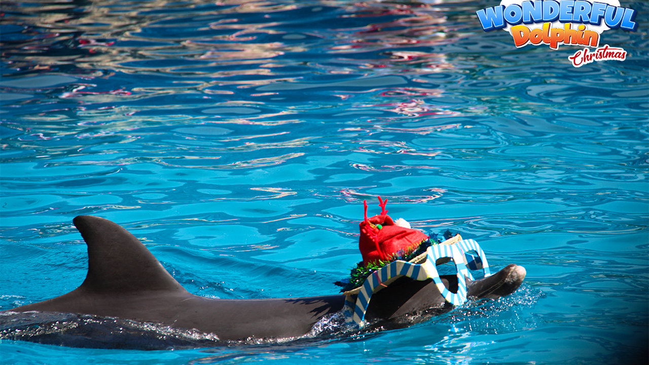 Safari World Bangkok with Private & Shared Transfers Review