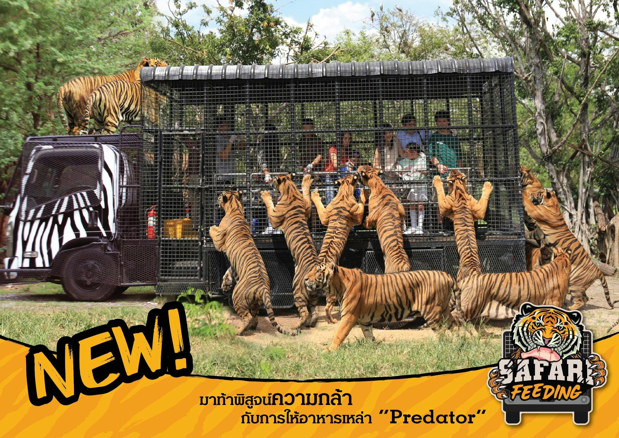 Safari World Bangkok with Private & Shared Transfers Price