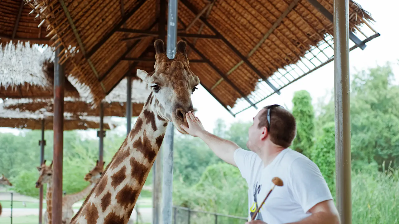Tickets to Safari World & Marine Park with Buffet Lunch & Round-Trip Transfers Location