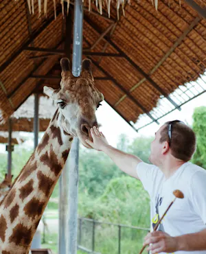Safari World Bangkok Tickets