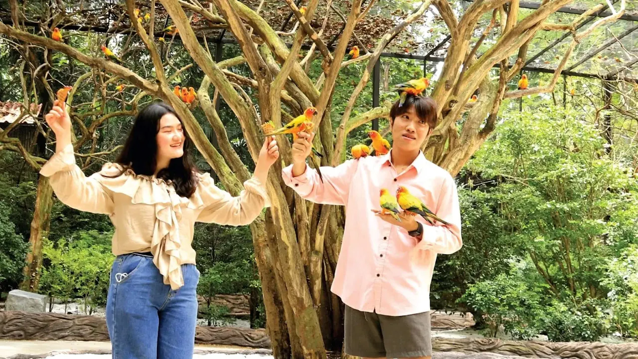 Safari World Bangkok Tickets Discount