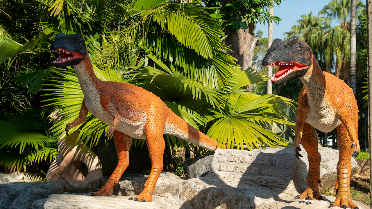 Nong Nooch Tropical Garden Category