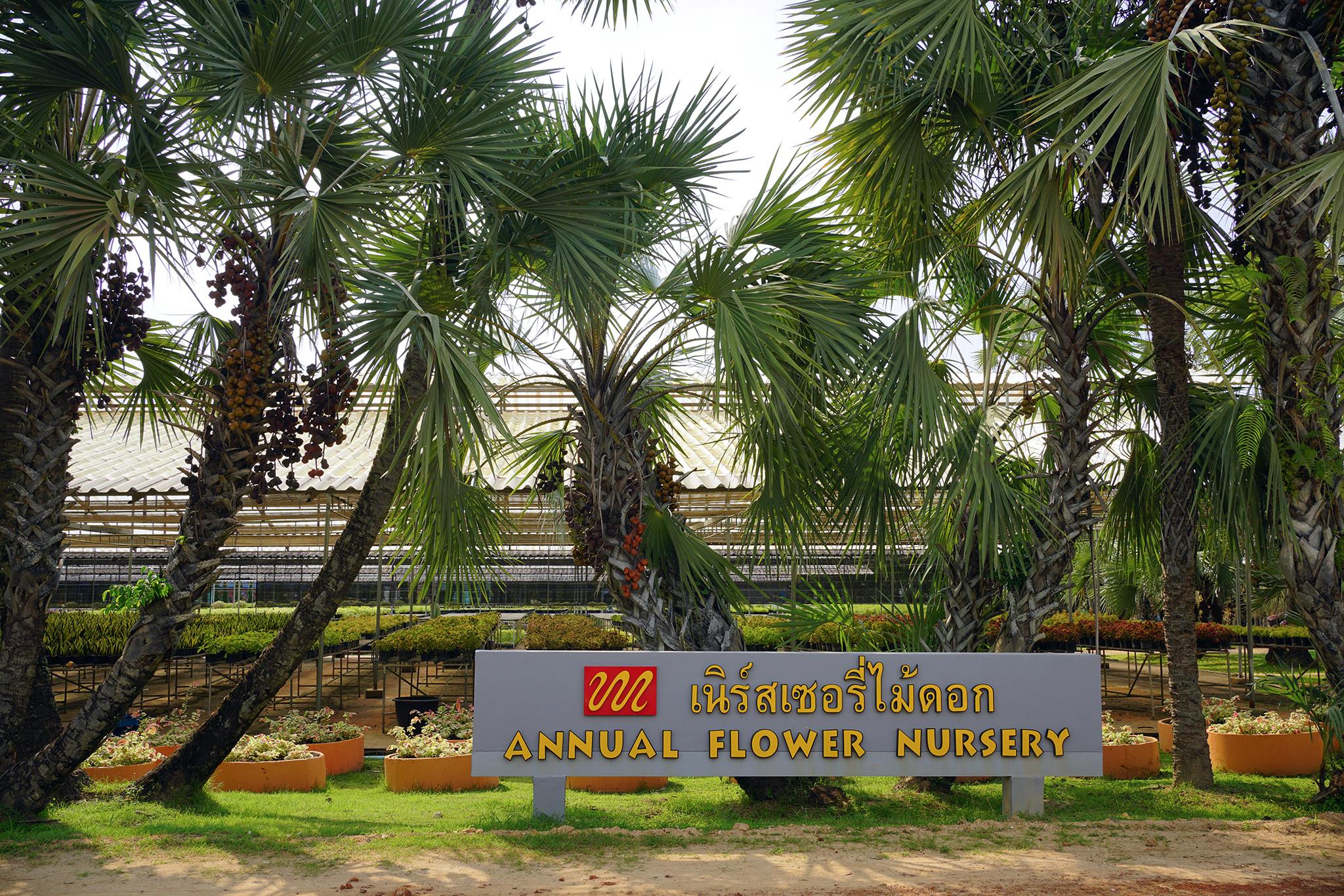 Nong Nooch Tropical Garden Ticket