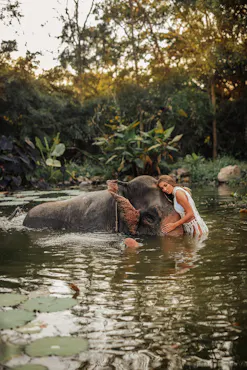 Pattaya Elephant Village Tickets + Mongchang Cafe