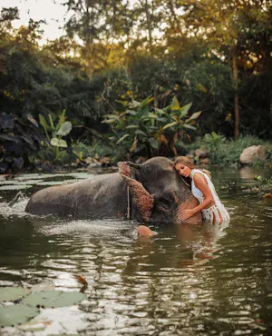 Pattaya Elephant Village Tickets + Mongchang Cafe